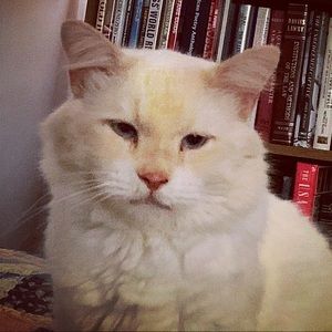 Meet your Posher, Rena